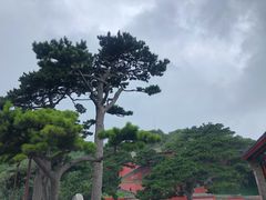 -妙峰山风景名胜区