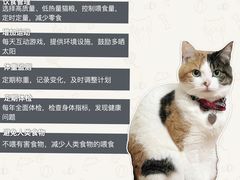 -翊宠yipet猫狗购宠庄园犬舍•猫舍