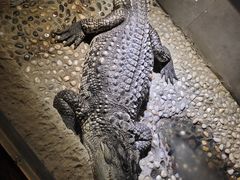 -天津zoonly动物主题公园