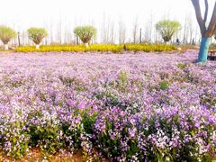 -汉长安城未央宫国家考古遗址公园