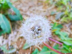 -燕郊植物园
