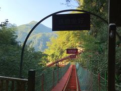 -藏龙百瀑风景区