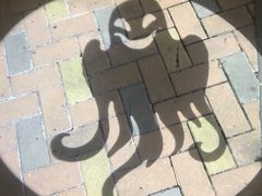 -十九路军淞沪抗日阵亡将士陵园