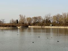 -盐城丹顶鹤湿地生态旅游区