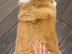 -肥朵食堂(带梦胡同店)