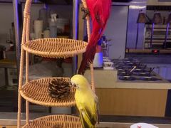 -深海聚汇·牛榴宴·自助料理(江宁万达店)