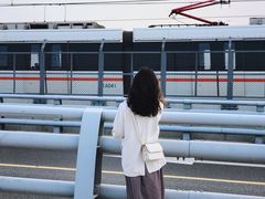 -海堤纪念公园