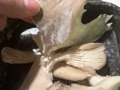 -哥老官重庆美蛙鱼头(五角场合生汇店)