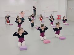 -西安小天鹅艺术团(金花路校区)