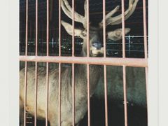 -青峰峡国家森林公园