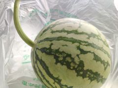 麒麟瓜-北京清河镇农副产品交易市场中心