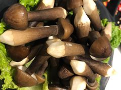 -东椰·海南椰子鸡火锅(朝阳门店)