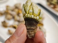 -舌尖上·霞浦滩涂海鲜(总店)