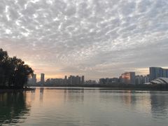 -天鹅湖体育公园