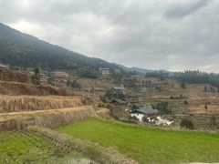 -紫鹊界梯田景区