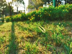 -西安市长安区图书馆