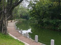 -人民公园(罗湖区)