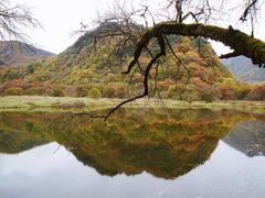 -神农架景区