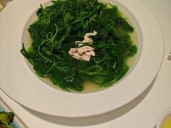 -至潮餐厅精致粤菜·活鲈鱼·走地鸡(珠江新城店)