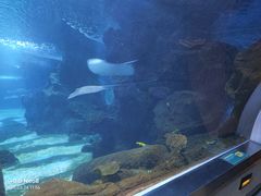 -石家庄海洋公园