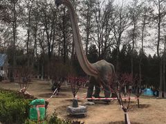 -青龙湖公园