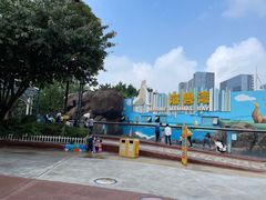 -海合安成都极地海洋公园