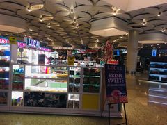 -贾特拉帕蒂·希瓦吉国际机场