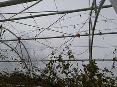 -西安市金南山绿色墓园