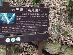 -燕子河大峡谷天坑仙境