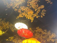 -庭院小酌(瑞莲街店)