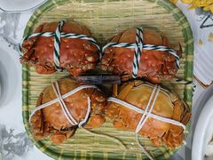 -蟹天蟹地农家菜·阳澄湖大闸蟹(浅水湾店)