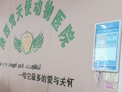 -天使宠物医院·犬猫分诊(彩虹店)