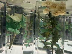 -北京中医药大学-中医药博物馆