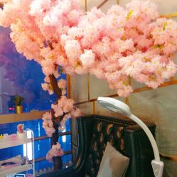 店内环境-安芮儿日式美甲美睫皮肤管理
