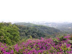 -广州市白云山风景名胜区