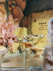 点击看大图 -奇幻萌宠部落(映月湖环宇城店)