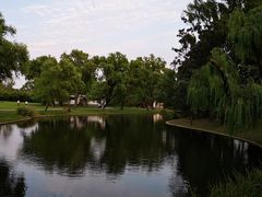 -上海共青森林公园