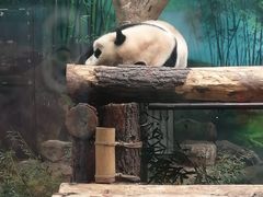 -杭州动物园