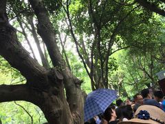 -韶山毛泽东同志故居