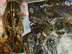 -昆山招商花园城