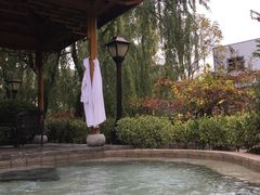 -麦积山温泉