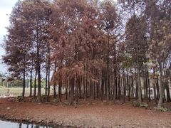 -厦门园林博览苑
