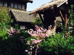 -桃花岛风景旅游区