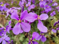 -汉长安城未央宫国家考古遗址公园