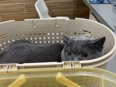 -爱侣宠医·鹦鹉专科·小型哺乳类·异宠专科(灵石路店)