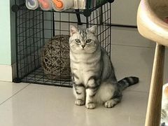-平行世界·猫咖(首经贸店)