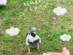 -灵顺寺