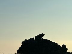 -涉地可支