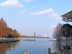 -宝界山林公园