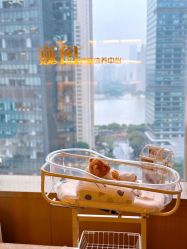 -巍阁高端月子会所